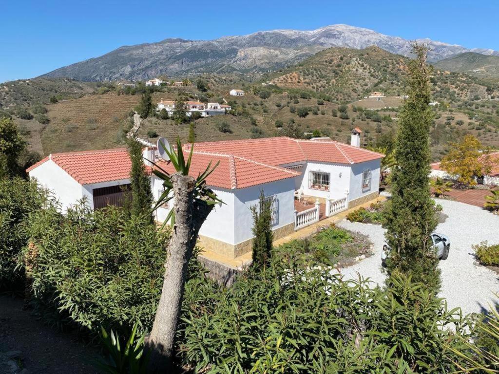 Casa Las Rosas - Malaga — Photos 3